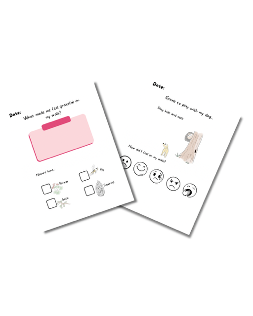 Kids 27 page dog walking diary